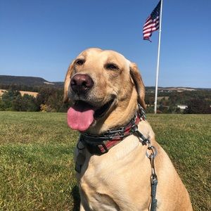 Meet your Posher, Marina